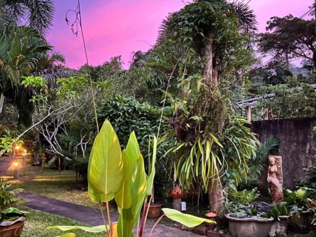 Sanook Sanang Resort كو تشانغ المظهر الخارجي الصورة