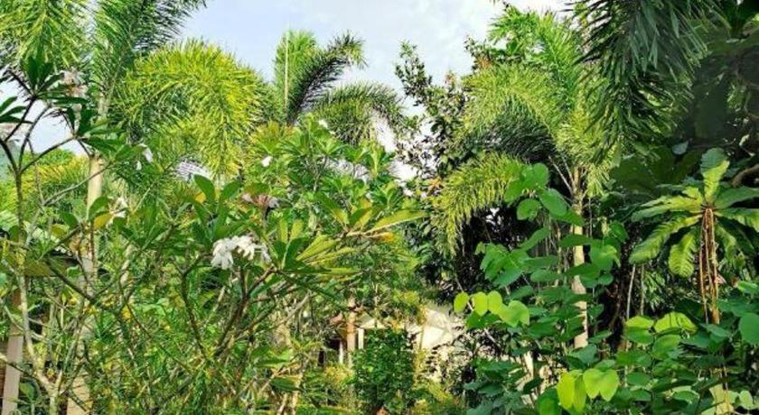 Sanook Sanang Resort كو تشانغ المظهر الخارجي الصورة